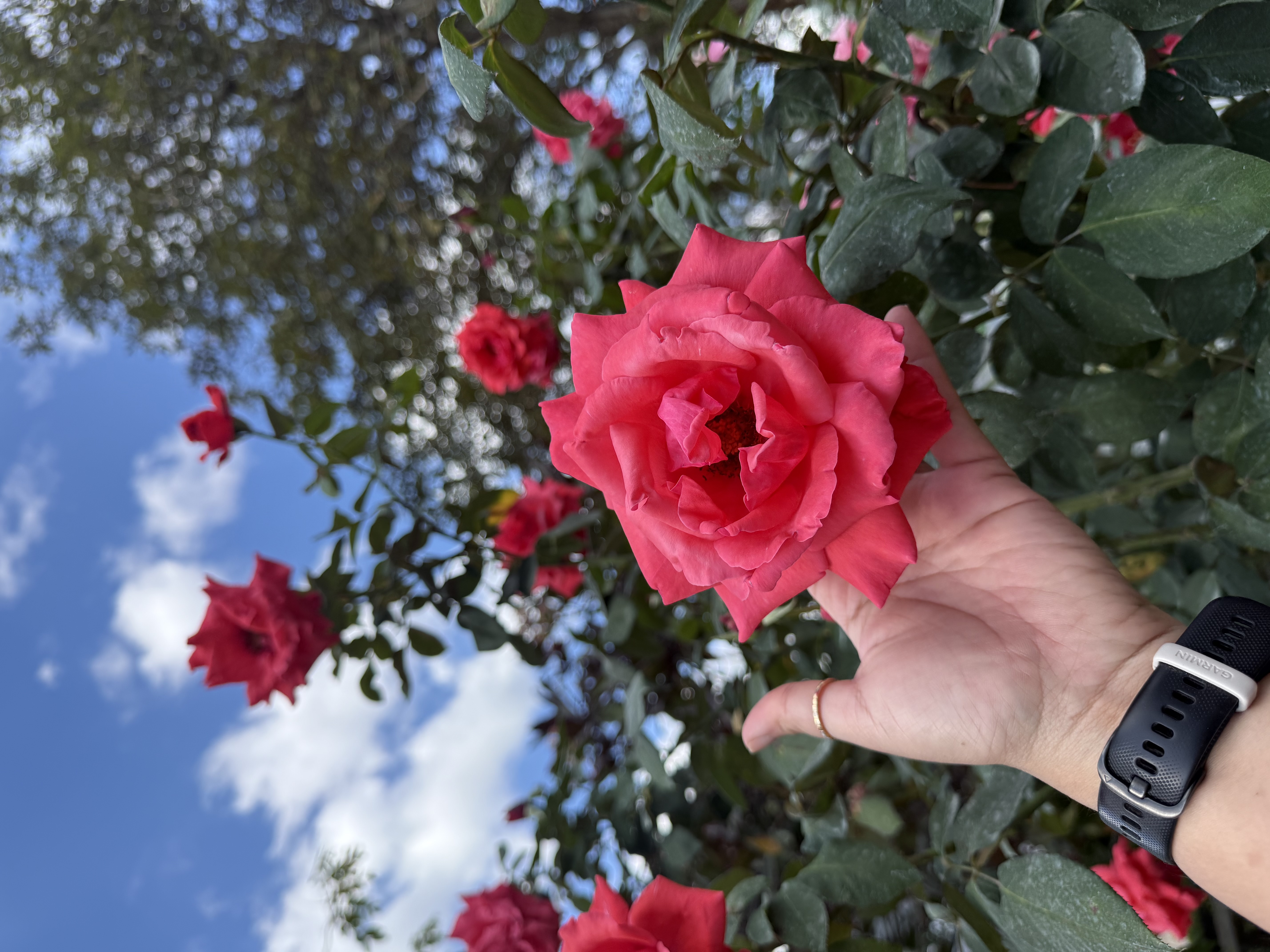 MeanMeen Cover Image