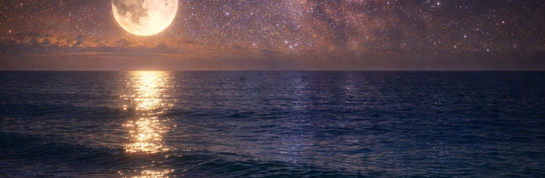 Dream Catcher Cover Image